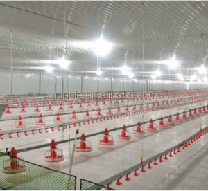 Automatisch Voedingssysteem Voor Vleeskuikens Voor Veevoeders Voor Pluimveebedrijven - Product Image 6