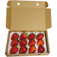 Speciale wegwerp kartonnen doos van stevig karton voor Wa Ren Paper Strawberry Sushi kauwgom aardappelchips express levering offset binnenverpakking