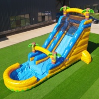 Toboggan aquatique gonflable avec palmier, toboggan à une voie, équipement de jeu aquatique extérieur pour le défi et le plaisir estivaux