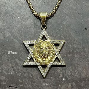 Collar Estrella de David Judía al por Mayor YK, Joyería de Acero Inoxidable Chapada en Oro de 18k, Collar León de Judá Dorado, Collar Magen David - Product Image 4