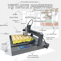 Nouveau lot pas cher Tij Egg imprimante à plat Machine de qualité automatique pour la date de péremption et le codage du numéro de lot sur l'emballage des aliments et des boissons