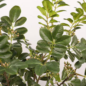 Petite plante artificielle flocon de neige en plastique, décoration intérieure, feuilles très réalistes pour la maison, l'hôtel, ou comme cadeau - Product Image 1