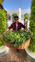 Système hydroponique vertical, tour aquaponique avec éclairage LED de culture, pompe, arrosage automatique, minuterie, haute rigidité, ferme, jardin
