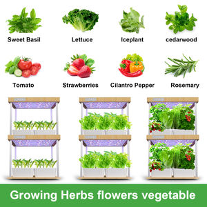 Sistema hidropónico para el hogar, pantalla de bambú para jardín, luz led para cultivo de plantas para interior, gran oferta, <span class=keywords><strong>2022</strong></span> - Product Image 6