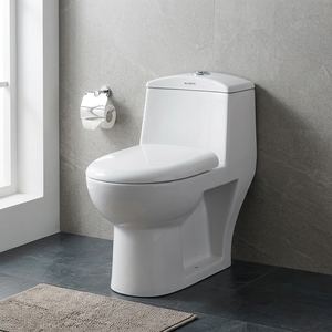 WC monobloc moderne en céramique blanche avec siphon en P, chasse d'eau double, à poser au sol, pour Dubaï - Product Image 2
