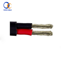 Cables Automotrices Planos de Doble Núcleo y Doble Cubierta de 3MM
