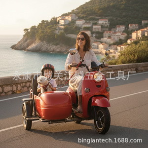 Tricycle électrique à trois roues avec moteur sans balais et siège pour attraction touristique et mobilité des enfants - Product Image 5