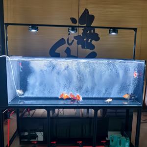 เสาเติมอากาศสำหรับ<span class=keywords><strong>บ่อ</strong></span><span class=keywords><strong>ปลา</strong></span>คาร์<span class=keywords><strong>ฟ</strong></span>  จานเติมอากาศสแตนเลสสำหรับการเพาะเลี้ยงสัตว์น้ำ และท่อนาโนเติมอากาศพร้อมหัวกระจายอากาศยาง - Product Image 2