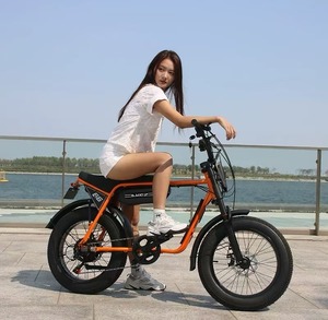 Bicicleta Eléctrica Urbana <span class=keywords><strong>de</strong></span> 20 Pulgadas con Entrega Rápida desde Almacén en EE. UU., 48V750W, Super E-bike con Reposapiés y Faro Retro - Product Image 1