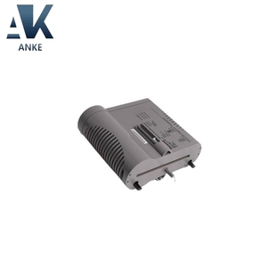 Module d'entrée analogique Honeywell CC-PAIN01 51410069-175 - Product Image 2