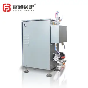 Portable micro electric steam generator heating boiler suitable for the healthcare industry