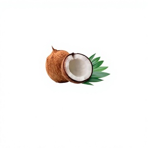 Crème solaire vegan à la carotte OEM <span class=keywords><strong>avec</strong></span> SPF <span class=keywords><strong>50</strong></span> et parfum longue durée Tan-Coconut 350ml pour le corps - Product Image 4