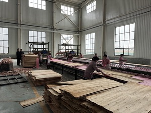 Gỗ dựa trên tấm máy móc hiệu quả ván ép Veneer keo lan rộng máy với spreader - Product Image 3