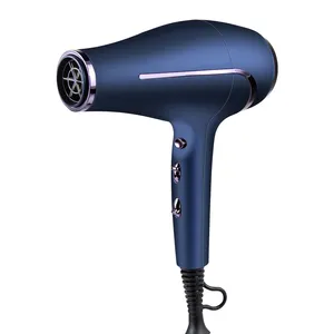 Blow Dryer Long Life AC Motor 2100W Negative Ionic Professional Hair Salon Equipment For Salon With Wind Nose Hair Blow Dryer