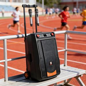 ลำโพงล้อลากพกพาพร้อมไมโครโฟนไร้สาย UHF คู่, วูฟเฟอร์ 12 นิ้ว, บลูทูธ, บันทึกเสียงผ่าน USB, เหมาะสำหรับงานปาร์ตี้กลางแจ้งและคาราโอเกะ - Product Image 5