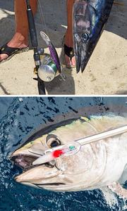 TGD Meilleure nouveauté, leurre de pêche 140 mm/46 g, leurres de type minnow, longue portée, coulée lente, gros leurres de pêche au bar, crankbait en plastique - Product Image 4