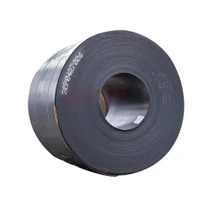 Q235 Q345 Q355 Ss400 S23jr S355jr A36 High Quality China S355 Carbon Steel Coil