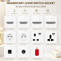 Panel Saklar Dinding Kaca Temper Putih DepoGuye, Soket Eropa Retro, Saklar Lampu Toggle LED, USB-C/USB-A, IP20, 16A, 250V, EU/UK