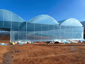 <strong>Etfe</strong> <strong>Greenhouse</strong> Film Using for High Quality Plastic <strong>Greenhouse</strong> - Product Image 5