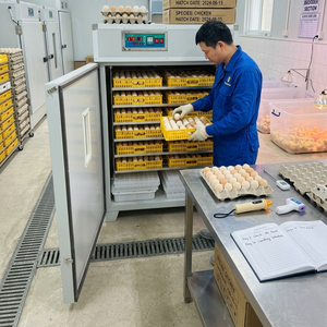 Großkapazitäts-Automatischer Geflügelinkubator mit Eierwende-System und Digitaler Steuerung für Hühnerei-Brut - Product Image 2