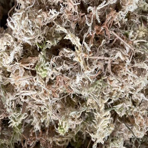 Субстрат для рептилий, оптовая продажа, низкая цена, длинный волокнистый сжатый сухой кирпич 100 г 500 г 1 кг Моха сфагнума - Product Image 4