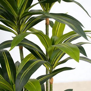 Planta Artificial Realista, Dracaena Artificial Realista para Decoración de Interiores de Hogar y Oficina - Product Image 3