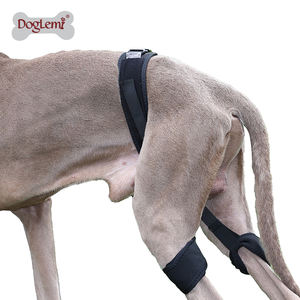 Rodillera Original <span class=keywords><strong>para</strong></span> perro, <span class=keywords><strong>correa</strong></span> <span class=keywords><strong>de</strong></span> corrección auxiliar <span class=keywords><strong>para</strong></span> articulación <span class=keywords><strong>de</strong></span> cadera, equipo <span class=keywords><strong>de</strong></span> protección <span class=keywords><strong>para</strong></span> mascotas, suministros <span class=keywords><strong>de</strong></span> entrenamiento <span class=keywords><strong>de</strong></span> soporte <span class=keywords><strong>para</strong></span> articulaciones <span class=keywords><strong>de</strong></span> piernas traseras - Product Image 2