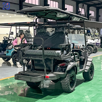 Voitures de golf à essence de luxe 4 places, buggy de golf à essence, voiture de golf tout-terrain personnalisée, voitures de tourisme