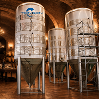 Cuve de Fermentation Industrielle Tonsen 1000L à Double Enveloppe en Acier Inoxydable pour Ligne de Production de Bière