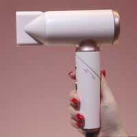Sèche-cheveux de voyage pliable international 110-240V avec poignée pliante Sèche-cheveux ionique portable à haute vitesse et à faible bruit pour femmes