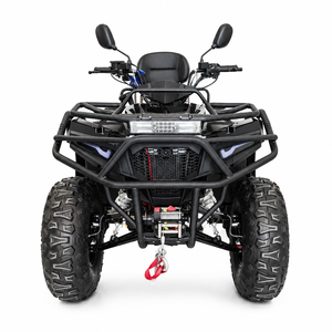 <span class=keywords><strong>Quad</strong></span> 300cc à essence pour adultes, automatique CVT, refroidissement par eau, tout-terrain, véhicule utilitaire agricole, transmission par chaîne, avec dossier - Product Image 4