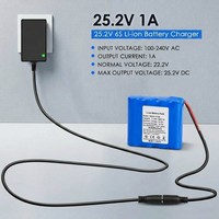 Chargeur au lithium 25,2 V 1 A pour trottinette électrique Segway Ninebot EKick, Gyroor GH30, pistolet de massage, chargeur de batterie Li-ion 22,2 V 25,2 V