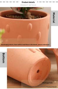 P193 vasi da fiori in ceramica per decorazioni da giardino decorazioni per piante in Terracotta di argilla non smaltata - Product Image 3