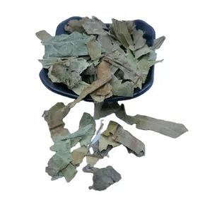 Pi Pa Ye оптом натуральный сушеный лист мушмуни китайская трава Eriobotrya Japonica рыхлые листья - Product Image 2