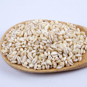 Natural Premium Organic Indian Pearl Barley <b>Grain</b> Dried White for Commercial Food Processing Global Export 24 Months Shelf Life - Product Image 1