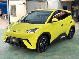 BYD 2024 modèle Haidou Honor Edition avec une portée de 305km et une édition gratuite - Product Image 2