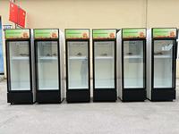 Réfrigérateur vertical commercial avec panneau solaire, refroidissement DC hors réseau 12/24V, 250 litres, vitrine solaire