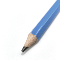 Haute qualité en gros papeterie croquis hb lapiz impression personnalisée logo géant crayon ensemble enfants JUMBO crayon avec gomme haut