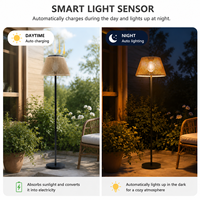 Support Télescopique Démontable En Aluminium Pour Lustre LED Cristal Doré Haute Luminosité Installation Facile