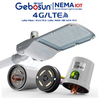 Solution IoT 4G/LTE IP66 pour l'éclairage intelligent des villes, éclairage routier, système de contrôle de lampadaires sans fil, contrôleur d'éclairage public