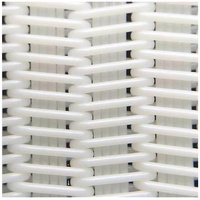 Filtro de Malla Espiral Personalizable 100% Poliéster para Prensa de Filtro, Filtro de Líquido de Alta Resistencia, Resistente al Desgaste, para Altas Temperaturas