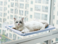 Hamac pour chat transfrontalier amélioré toutes saisons, suspendu par ventouses, pliable, pour rebord de fenêtre, fournitures pour animaux de compagnie