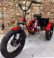 WindChaser Üç Tekerlekli Elektrikli Bisiklet 48V 500W 20" Yüksek Karbon Çelik Gövde 15Ah Pil 7 Vitesli Disk Fren 3 Tekerlekli Elektrikli Bisiklet