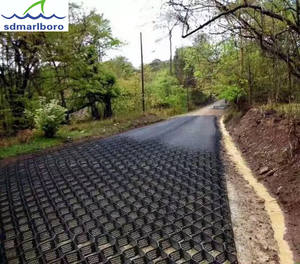 SDM ASTM100-440mm高さ<span class=keywords><strong>HDPE</strong></span>ジオセル砂利グリッド地面安定化 - Product Image 5