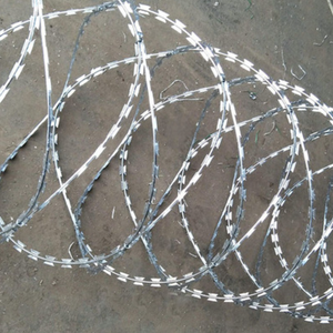 Alambre de púas tipo concertina de acero inoxidable galvanizado, alambre de seguridad antirrobo para protección de límites - Product Image 2