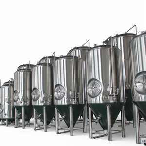 Equipo para Cerveza Artesanal de Acero Inoxidable de 200L al Mejor Precio - Product Image 5