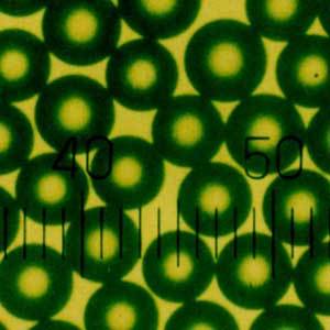 Microesferas Fluorescentes para Conteo Absoluto en Citometría de Flujo - Calibradas y Validadas - Product Image 3