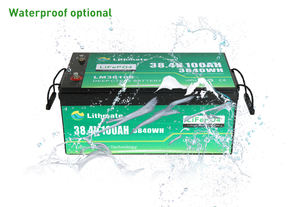 Lifepo4 36 вольт литиевая морская батарея 100 ач литиевая батарея 36 в 100 ач - Product Image 4