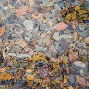 <span class=keywords><strong>Aquarium</strong></span> bodemdecoratie van steen, milieuvriendelijk regenwoudlandschap - Product Image 4