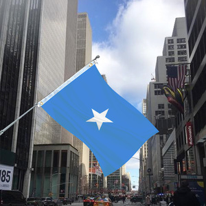 3X5FT treo Polyester somalian somali cờ quốc gia polyester với Brass grommets Cờ biểu ngữ cho trang trí - Product Image 1